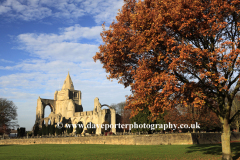 Autumn, Crowland Abbey, Crowland
