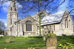 Daffodils, St Peters church, Spalding