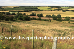 Lincolnshire Wolds near Salmonby village