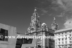 Royal Liver Building, Pier Head, Liverpool