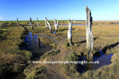 Remains of wooden posts, Thornham salt marshes