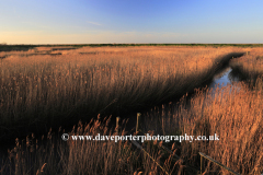 Sunset view over reed beds, Cley-next-the-Sea village