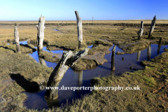 The old wooden posts, Thornham salt marshes