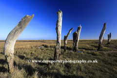 The old wooden posts, Thornham salt marshes