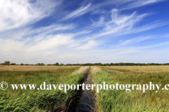 Summer,  Hickling Broad, Norfolk Broads