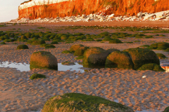 The beach and Brownstone Cliffs, Hunstanton