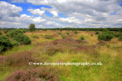 View over the Breks near Brandon town