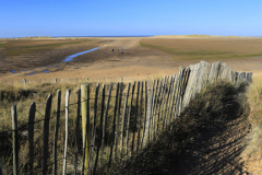Sand Dunes on Holkham Bay Beach