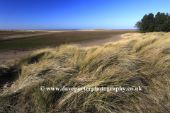 Sand Dunes on Holkham Bay Beach