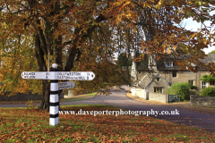 Autumn chestnut tree, Duddington village