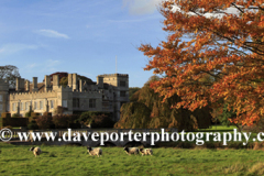 The house at Deene Park