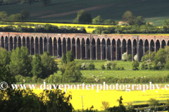 River Welland valley, Harringworth railway viaduct