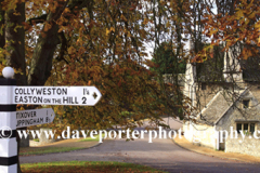 Autumn chestnut tree, Duddington village