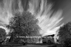 Chestnut Tree, Duddington village