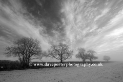 Winter trees, Bulwick village, Rockingham Forest