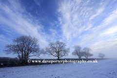 Winter trees, Bulwick village, Rockingham Forest