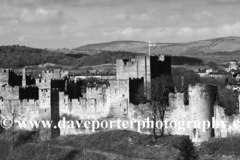 Spring, Ludlow Castle, Ludlow town