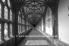 The Cloisters in Wells Cathedral church