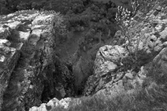 The Limestone cliffs of Cheddar Gorge