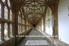 The Cloisters, Wells Cathedral church of St Andrews