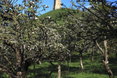St Michael's Tower, Glastonbury Tor