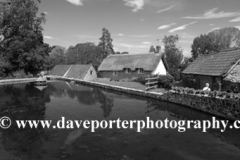 Summer, village pond at East Quantoxhead village