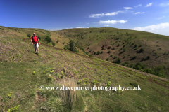 Walker on the Quantock Hills