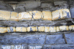 Jurassic Blue Lias rocks, Bridgwater bay