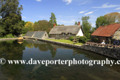 Summer, village pond at East Quantoxhead village