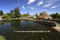 Summer, village pond at East Quantoxhead village