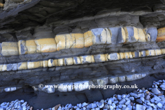Jurassic Blue Lias rocks, Bridgwater bay