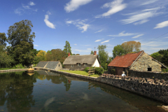 Summer, village pond at East Quantoxhead village