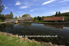Summer, village pond at East Quantoxhead village