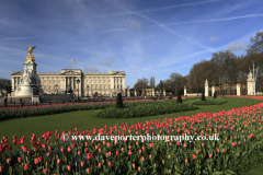Summer view of the frontage of Buckingham Palace