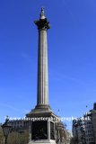 Nelsons Column at Trafalgar Square