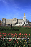 Buckingham Palace and Queen Victoria Memorial
