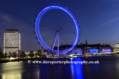 The Millennium Eye Wheel at night