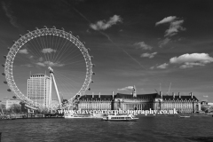 London Aquarium and Millennium Wheel