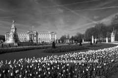 Frontage of Buckingham Palace