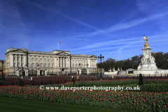 Buckingham Palace and Queen Victoria Monument