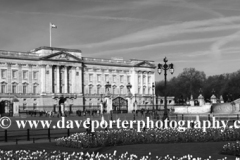 The Victoria Memorial, Buckingham Palace