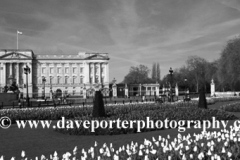 Summer view of the frontage of Buckingham Palace