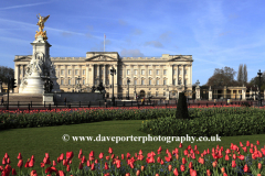 Summer view of the frontage of Buckingham Palace