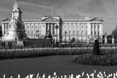 Buckingham Palace and Queen Victoria Memorial