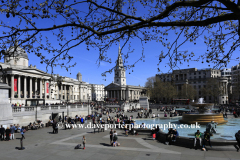 Tourist at Trafalgar Square