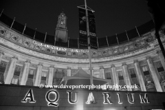 London Aquarium, South Bank