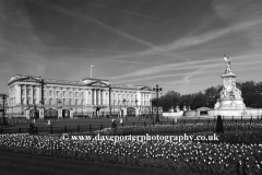 Buckingham Palace and Queen Victoria Memorial