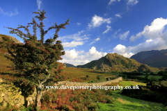 View to Rannerdale Knotts, Crummock Water