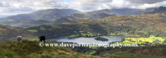 Grasmere Water and the Langdale Fells