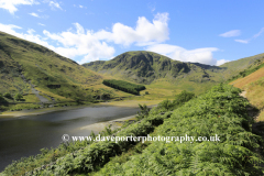 Summer view to Harter fell and Haweswater